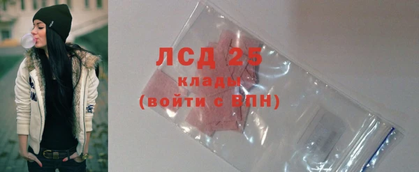 ПСИЛОЦИБИНОВЫЕ ГРИБЫ Баксан