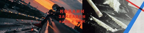 гидра Бородино