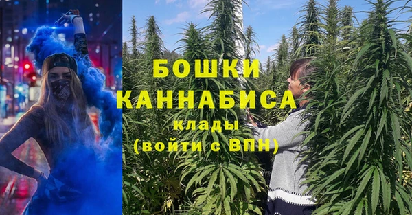 гидропоника Белокуриха