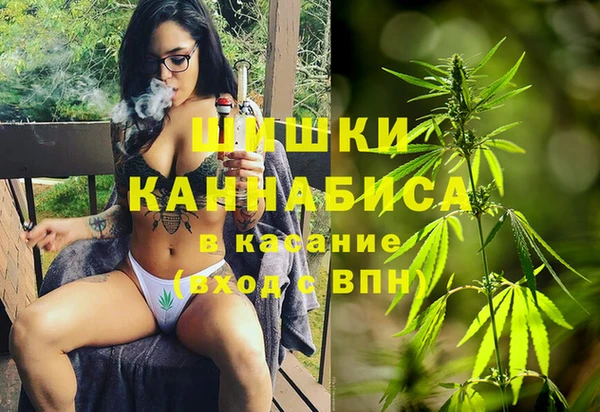мескалин Богородицк