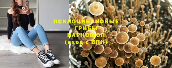 мескалин Богородицк